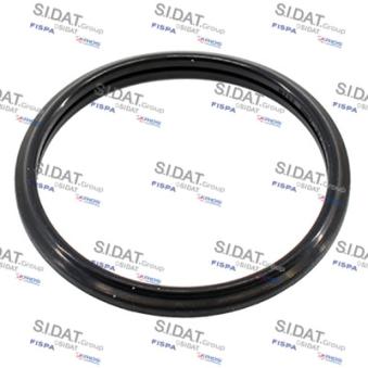 Joint d'étanchéité, thermostat FISPA OEM 1767066D01000