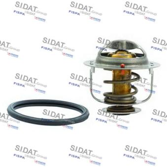 Thermostat, liquide de refroidissement FISPA OEM 212006N210
