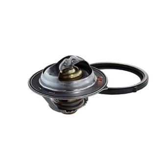 Thermostat, liquide de refroidissement FISPA OEM 256102A720