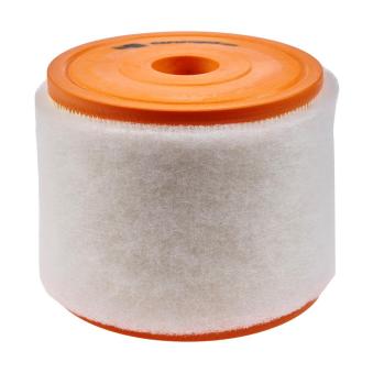 Filtre à air CHAMPION CAF101081R pour AUDI A6 2.0 TFSI - 252cv