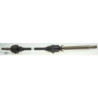 Arbre de transmission LÖBRO OEM 391008834R