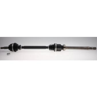 Arbre de transmission LÖBRO OEM 391008720R