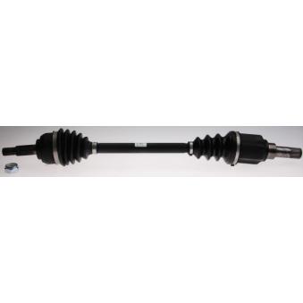 Arbre de transmission LÖBRO OEM 391016776R