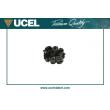 UCEL 10527 - Suspension, échappement