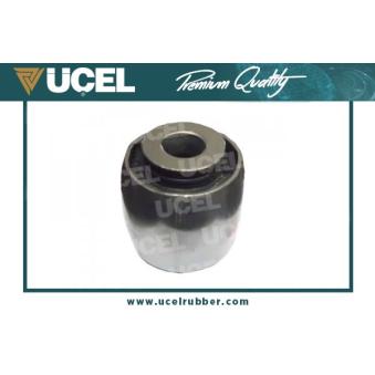 Suspension, corps de l'essieu arrière droit UCEL OEM 8200267972
