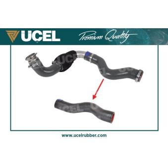 Gaine de suralimentation UCEL OEM 4417712