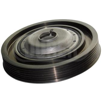 Poulie, vilebrequin DÜRER OEM 8200051194