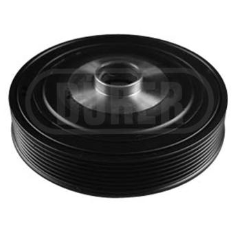 Poulie, vilebrequin DÜRER OEM 8200619927