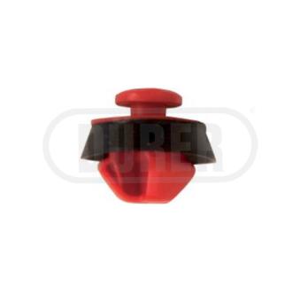 Clip, enjoliveur DÜRER [CL12890S10]