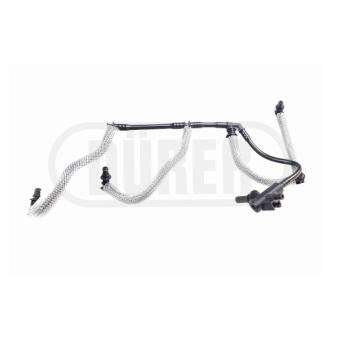 Tuyau, carburant de fuite DÜRER [CR02REN]