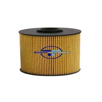 Filtre à carburant DÜRER OEM 6110900652