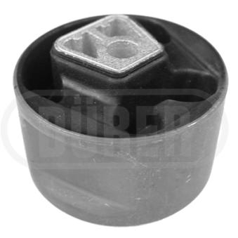 Support moteur DÜRER OEM 180933