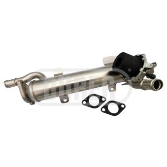 Radiateur, réaspiration des gaz d'échappement DÜRER OEM 03L131512B