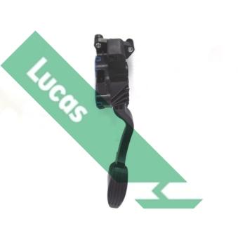 Capteur, position d'accelerateur LUCAS [LSP6506]