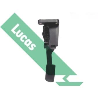 Capteur, position d'accelerateur LUCAS [LSP6513]