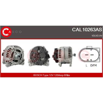 Alternateur CASCO OEM 074903025R Alternateur CASCO OEM 074903025R