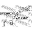 FEBEST ASN-Z50LOW - Arbre de direction