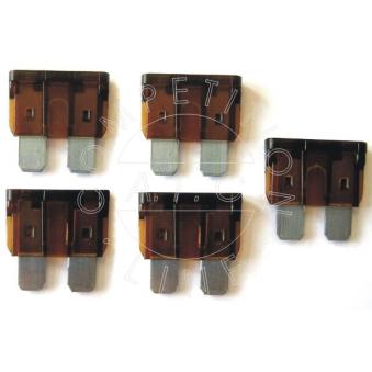 Fusible AIC [52119]