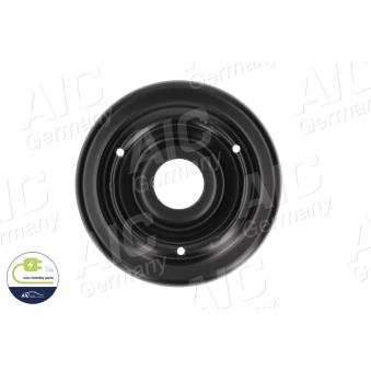 Patin de ressort AIC 52186