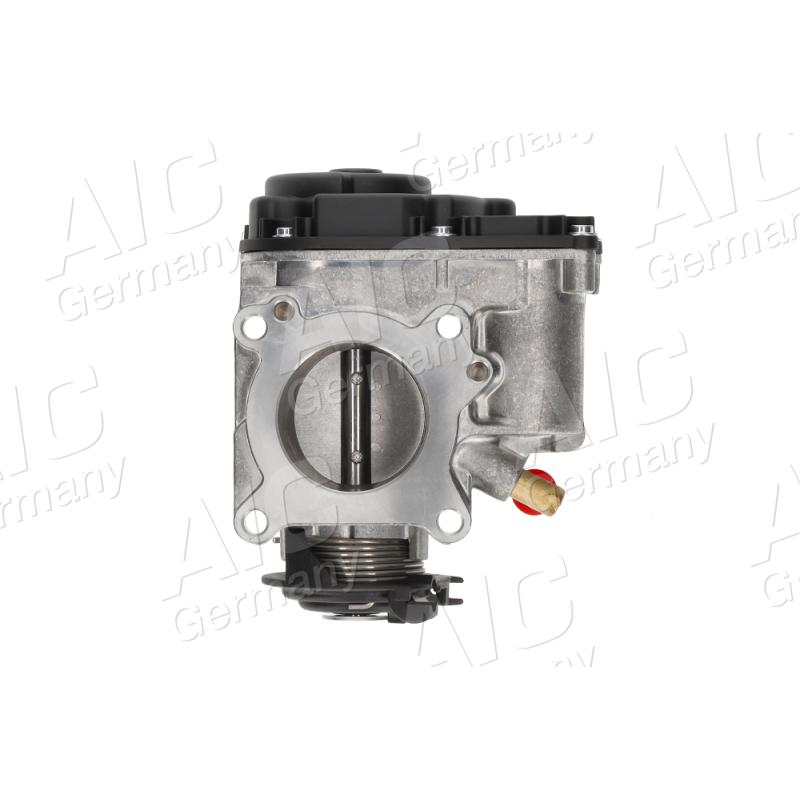 Corps papillon AIC 53195 - Visuel 1