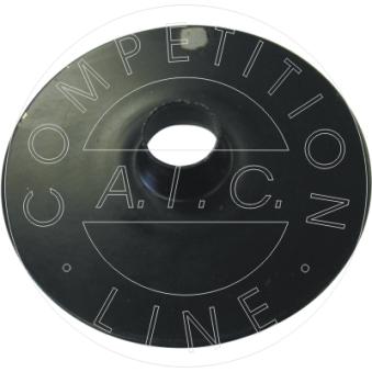 Patin de ressort AIC 53790