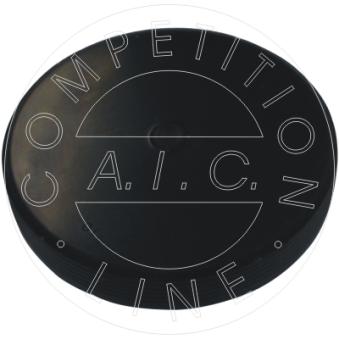 Bouchon, axe de culbuteurs-nez fileté AIC OEM 7700106271