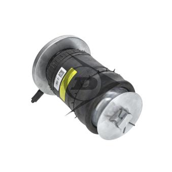 Ressort pneumatique, châssis AIC [71034]