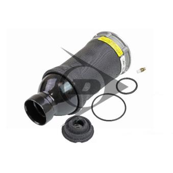 Ressort pneumatique, châssis AIC OEM 4Z7616051B