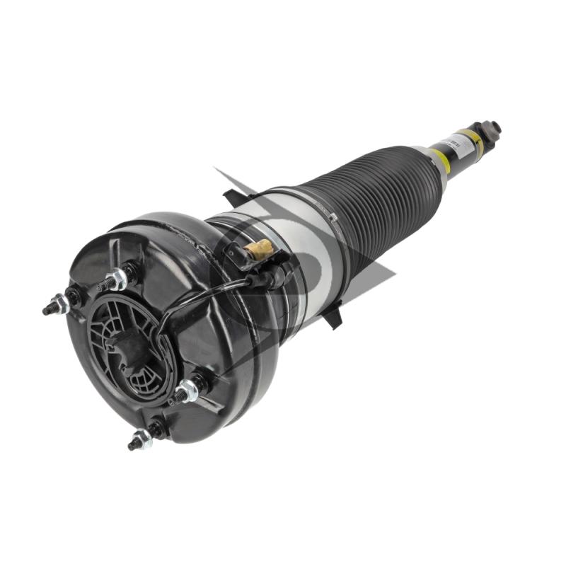 Armortisseur pneumatique arrière gauche AIC 71061 - Visuel 1