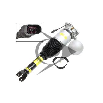 Armortisseur pneumatique arrière droit AIC OEM 3D0616039Q