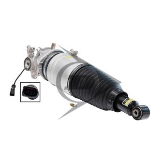 Armortisseur pneumatique arrière droit AIC 71081