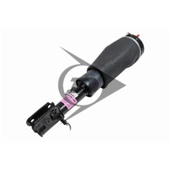Armortisseur pneumatique avant gauche AIC OEM RNB500550