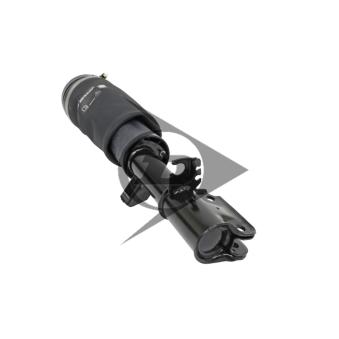 Armortisseur pneumatique avant droit AIC OEM RNB500540