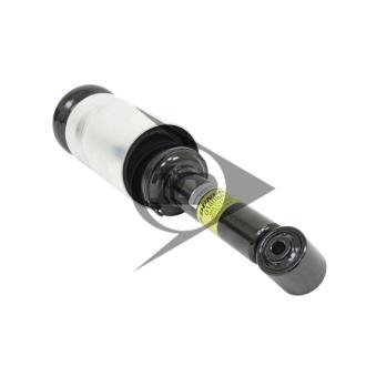 Armortisseur pneumatique AIC OEM RNB501180