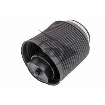 Ressort pneumatique, châssis arrière droit AIC OEM 4808035011