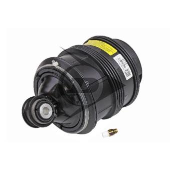 Ressort pneumatique, châssis AIC 71189