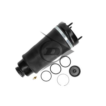 Ressort pneumatique, châssis AIC OEM 251320311380 Ressort pneumatique, châssis AIC OEM 251320311380