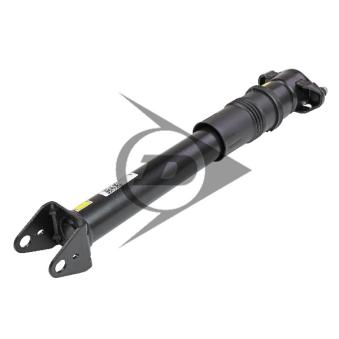 Armortisseur pneumatique AIC OEM A2513200631