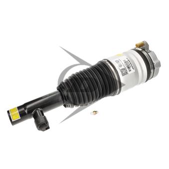 Armortisseur pneumatique avant droit AIC OEM 31451834
