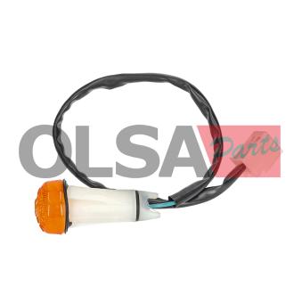 Feu clignotant AIC 72158