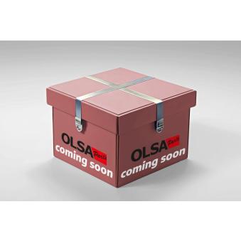 Feu clignotant AIC [75432]