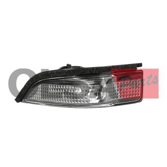 Feu clignotant AIC OEM 817410D020