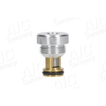 Soupape de retenue AIC [75610]
