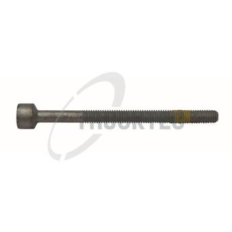 Vis, support pour controleur d'injecteurs TRUCKTEC AUTOMOTIVE [02.13.101]