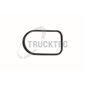 Joint d'étanchéité, collecteur d'admission TRUCKTEC AUTOMOTIVE OEM A6110980380