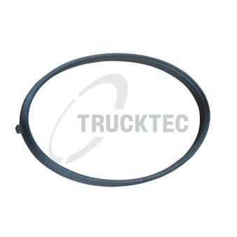 Joint d'étanchéité, carter de collecteur d'admission TRUCKTEC AUTOMOTIVE [02.16.055]