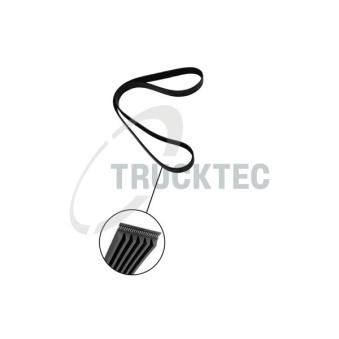 Courroie trapézoïdale à nervures TRUCKTEC AUTOMOTIVE [02.19.232]