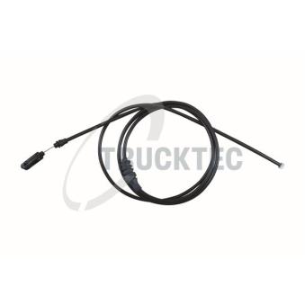 Tirette de capot moteur TRUCKTEC AUTOMOTIVE [02.60.038]