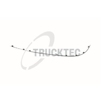 Baguette et bande protectrice, pare-chocs arrière gauche TRUCKTEC AUTOMOTIVE [02.60.426]