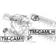 FEBEST TM-CAMLH - Support moteur avant gauche
